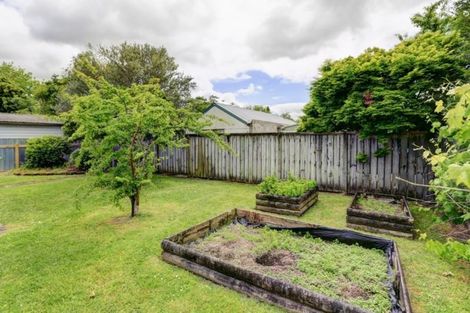 Photo of property in 24 Bellmont Avenue, Chartwell, Hamilton, 3210