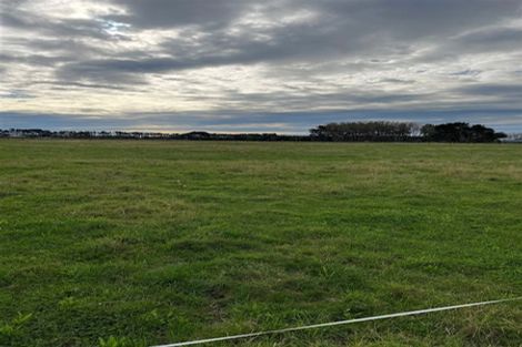 Photo of property in 145 Motuiti Road, Foxton, 4891