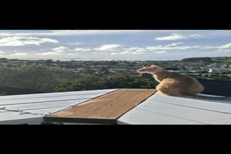 Photo of property in 21b Rishworth Avenue, Stanmore Bay, Whangaparaoa, 0932