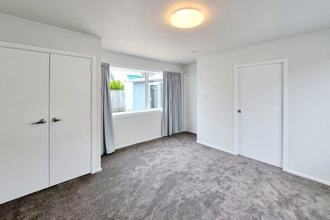 Photo of property in 221 The Esplanade, Petone, Lower Hutt, 5012