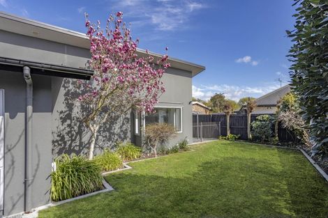 Photo of property in 3 Wildhawk Place, Shirley, Christchurch, 8061