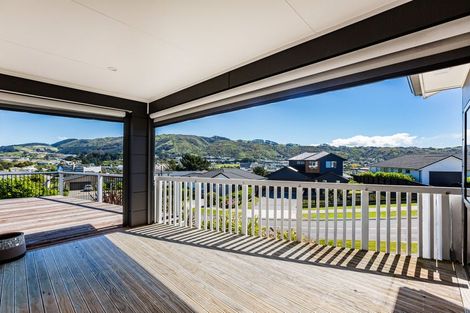 Photo of property in 117 John Burke Drive, Aotea, Porirua, 5024