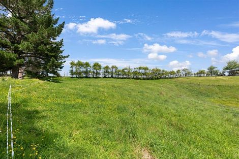 Photo of property in 730 Horseshoe Bush Road, Waitoki, 0871