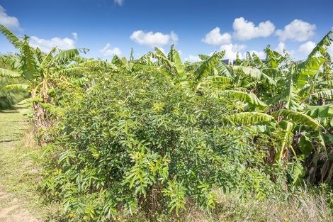 Photo of property in 410 Mahuta Road, Mahuta, Dargaville, 0371