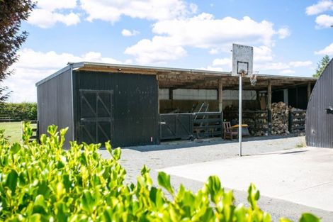 Photo of property in 48 Peake Road, Cambridge, Hamilton, 3283