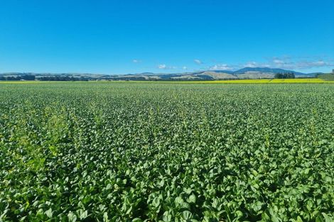 Photo of property in 247 Mahaki Road, Dyerville, Martinborough, 5781