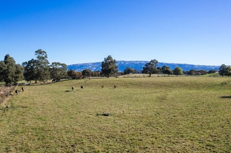 Photo of property in 232 Main Road South, East Taieri, Mosgiel, 9092