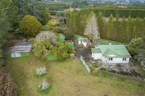 Photo of property in 28 Tuapiro Road, Tahawai, Katikati, 3170