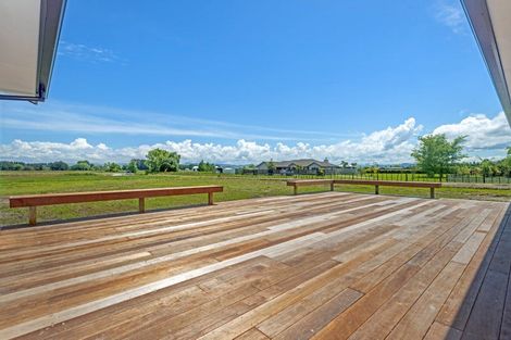 Photo of property in 584a Back Ormond Road, Makauri, 4071