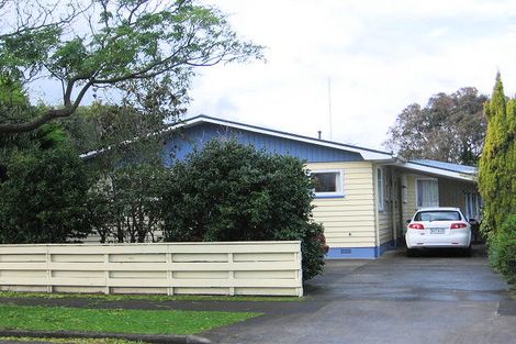 Photo of property in 158 Limbrick Street, Terrace End, Palmerston North, 4410