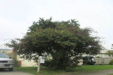 Photo of property in 26 Desert Gold Street, Ascot Park, Porirua, 5024