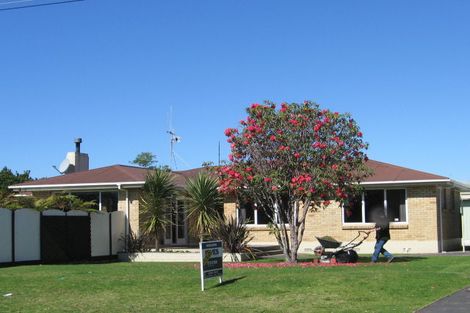 Photo of property in 8 Brookfield Terrace, Brookfield, Tauranga, 3110
