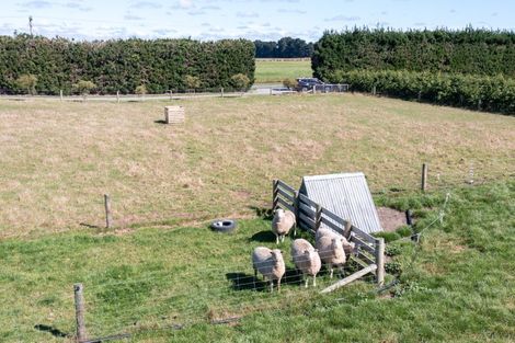 Photo of property in 31 Acton Road, Rakaia, 7781