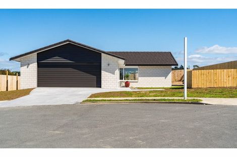 Photo of property in 37 Weka Street, Mangawhai, 0505