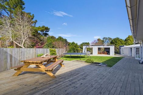 Photo of property in 35 Fitzroy Avenue, Fitzroy, Hamilton, 3206