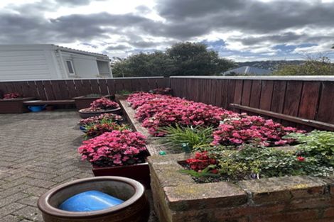 Photo of property in 7 Naughton Terrace, Kilbirnie, Wellington, 6022