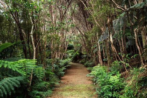 Photo of property in 183 Rangitane Road, Kerikeri, 0294