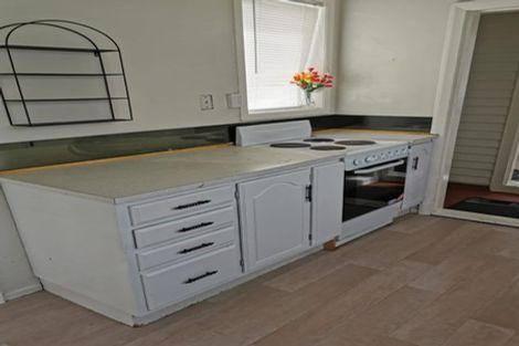 Photo of property in 14 Massey Avenue, Greenlane, Auckland, 1061