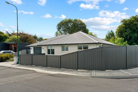 Photo of property in 10 John Mcdonald Mews, Masterton, 5810