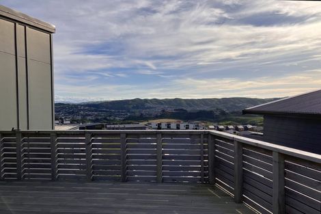 Photo of property in 67 Cedarwood Street, Woodridge, Wellington, 6037