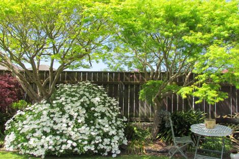 Photo of property in 43 York Street, Levin, 5510