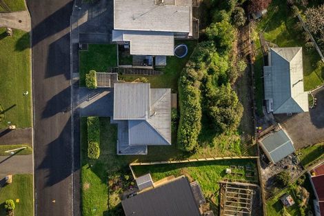 Photo of property in 15 Ohinemuri Place, Paeroa, 3600