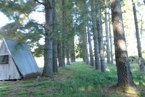 Photo of property in 303 Yaxleys Road, Loburn, Rangiora, 7472