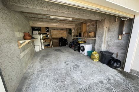 Photo of property in 125a Elizabeth Street, Mount Victoria, Wellington, 6011