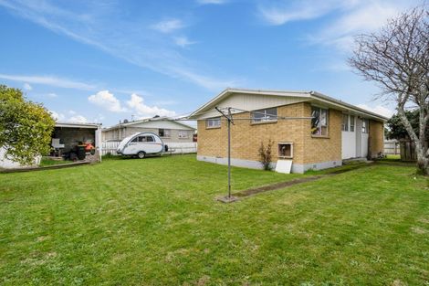 Photo of property in 42 Hinemoa Street, Levin, 5510