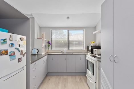 Photo of property in 10b College Place, Poike, Tauranga, 3112