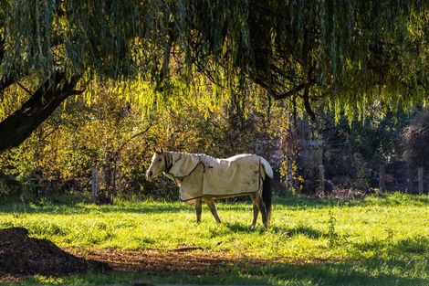 Photo of property in 2d Ferry Road, Spring Creek, 7202