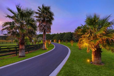 Photo of property in 251b Blackbridge Road, Dairy Flat, 0794