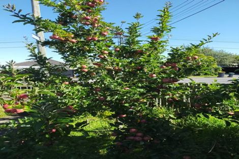 Photo of property in 1/27 Ethne Street, Mairehau, Christchurch, 8013