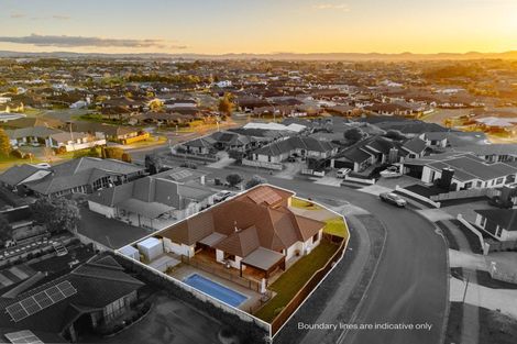 Photo of property in 6 Santiago Place, Flagstaff, Hamilton, 3210