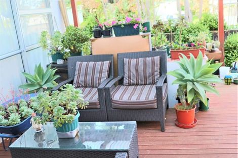 Photo of property in 31 Wrigley Street, Waihi, 3610