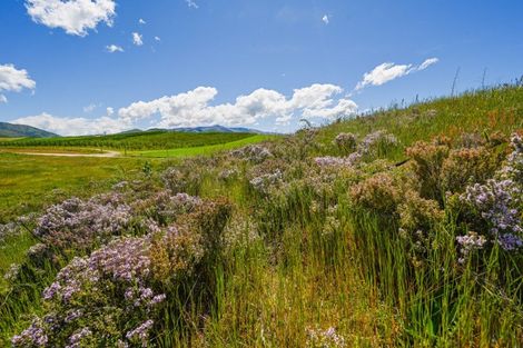 Photo of property in 25 Northridge Road, Waikerikeri, Alexandra, 9391