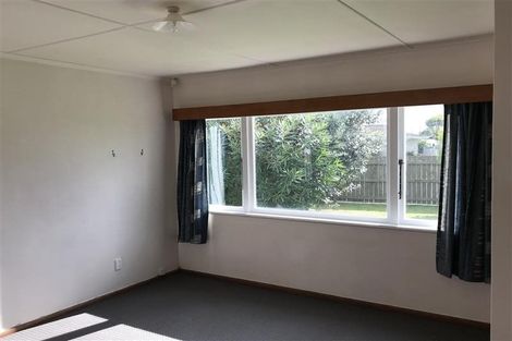 Photo of property in 1105 Cunningham Crescent, Mayfair, Hastings, 4122