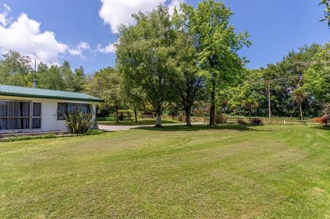 Photo of property in 217 East Road, Reporoa, 3081