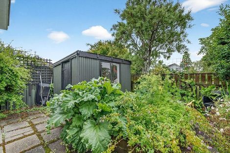 Photo of property in 31 Titoki Street, Lansdowne, Masterton, 5810