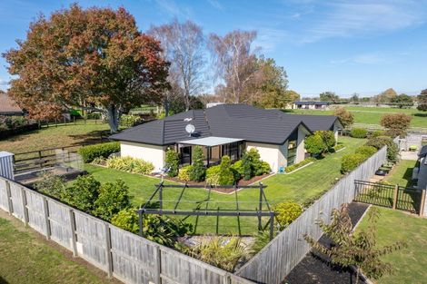 Photo of property in 35 Banks Road, Matamata, 3400