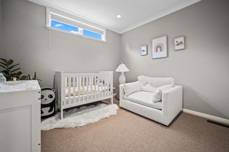 Photo of property in 50 Premier Avenue, Point Chevalier, Auckland, 1022