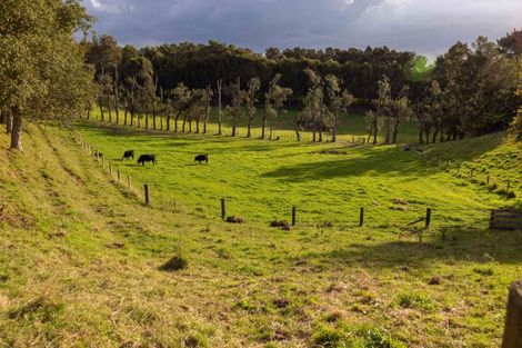 Photo of property in 67 Laurel Drive, Whakamarama, Tauranga, 3179