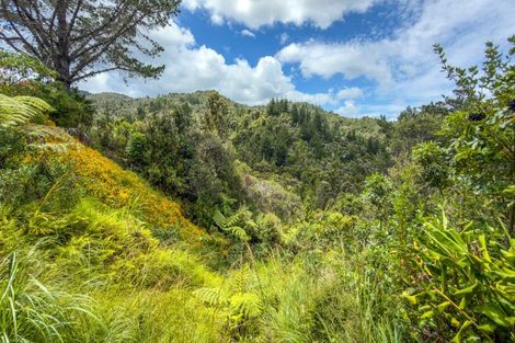 Photo of property in 47 Otuturu Crescent, Ruamahunga, Thames, 3575