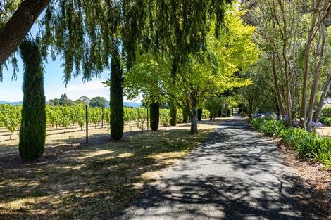 Photo of property in 3009 State Highway 1, Riverlands, Blenheim, 7274