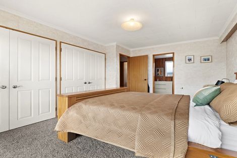 Photo of property in 20 Spurn Street, Milton, 9220