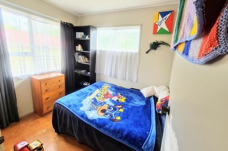 Photo of property in 35 Falkner Park, Taumarunui, 3920