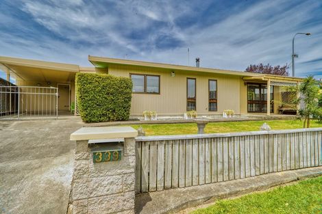 Photo of property in 339 Westminster Avenue, Tamatea, Napier, 4112