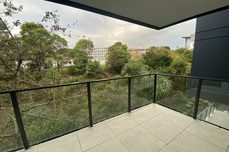 Photo of property in 409/8 Kingsland Terrace, Kingsland, Auckland, 1021