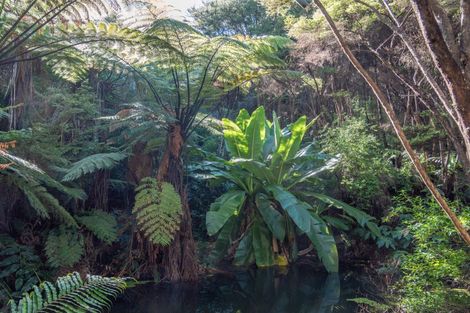 Photo of property in 458f Hihi Road, Hihi, Mangonui, 0494