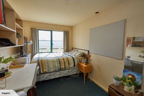 Photo of property in Te Awhina Apartments, 1/22 Sussex Street, Mount Cook, Wellington, 6021